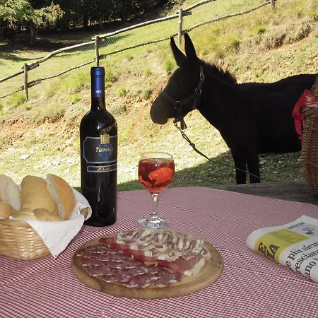 Agriturismo Agrimon Sabbio Chiese